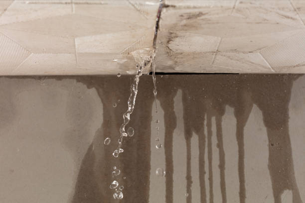 Professional Water Damage Repair technician working in Paola, KS